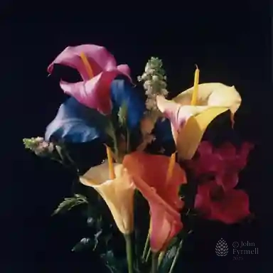 Blossoms of Resilience