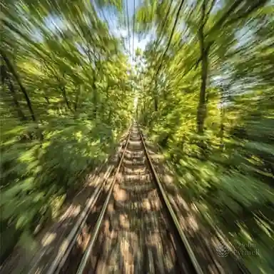 Eternal Forest Passage