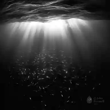 Shadows of the Abyss