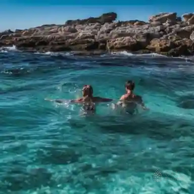 Tides of Tranquility