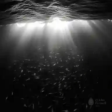 Shadows of the Abyss