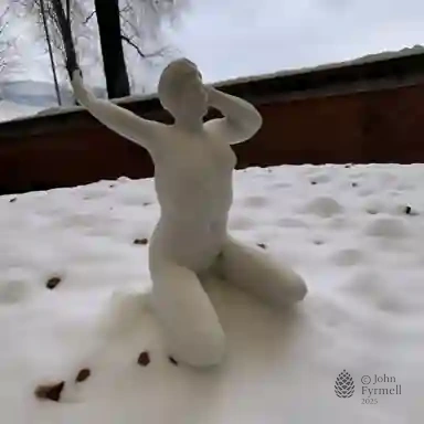 Winter's Gentle Form